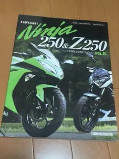2026年最新】ninja250 2017の人気アイテム - メルカリ