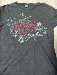 ハワイ tシャツ