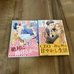 強引社長の過剰な独占愛 全2巻セット