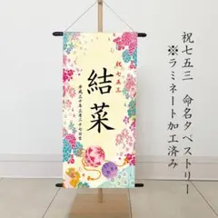 Item thumbnail for item 8e43cd7a-3d60-4f42-9c1e-67bccd44901b