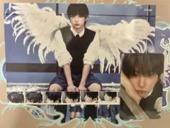 &TEAM ハルア　トレカ　フォト