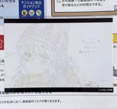 新世紀エヴァンゲリオン アスカ幼少期 原画 ポストカード 未开封