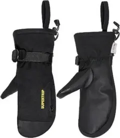 Item thumbnail for item 7cf63a66-642b-4dbd-aafe-465cd1c673b7