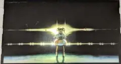 魔法少女まどかマギカ　ワルプルギスの廻天　入場特典　6弾　フィル厶　セルマ