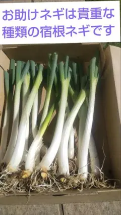 ずぅ様 リクエスト 2点 まとめ商品