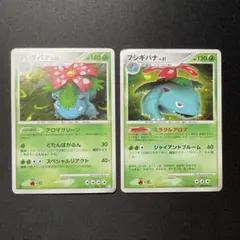 2026年最新】ポケモンカード フシギバナ 003/PCG-P プロモの人気