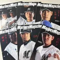 千葉ロッテマリーンズ マリーンズマガジン 2014 コンプリート