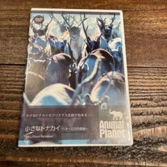 Item thumbnail for item a2924cc1-a4b4-4b71-9d7d-7a3ccc699fca