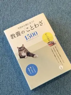 Item thumbnail for item 8075f942-7ad3-4746-b7af-b7fd43843b94