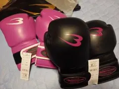 Item thumbnail for item 2499c570-f8ac-464d-9666-198a5c0f3f55