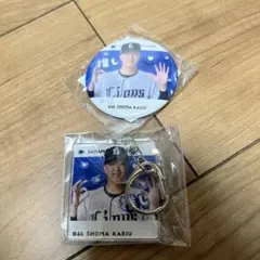 埼玉西武ライオンズ　狩生聖真