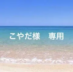 こやだ様　専用　s