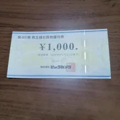 ビックカメラ株主優待券 1000円