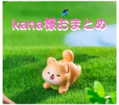 kana様おまとめ