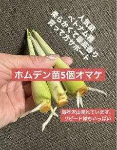 ケイワイ様 リクエスト 2点 まとめ商品