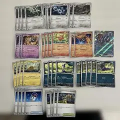 ポケモンカード　Nのポケモンカードセット