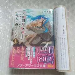 元戦闘用奴隷ですが、助けてくれた竜人は番だそうです 1 早瀬黒絵(小説)特典付き