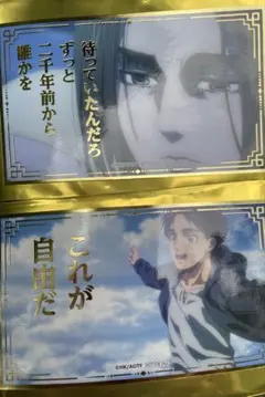 進撃の巨人 Attack on Memory 記憶への進撃 エレン 2枚セット