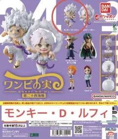 ニカルフィ【第二十四海戦】ワンピの実　ONE PIECE