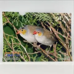 Item thumbnail for item 037d306e-4f3b-41b7-a641-f6718a8b8ab9