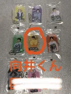 SnowMan お守りキーホルダー　向井康二　匿名発送