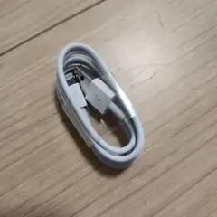 iPhone 正規品　充電器　ケーブル