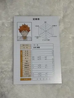 ハイキュー!! アニメイト　特典ポストカード　日向 翔陽