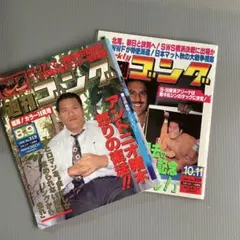 □激レア□ゴング創刊14周年記念出版□アントニオ猪木 写真集□昭和57