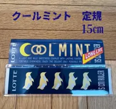 신제품 쿨 민트 룰러 15cm 익명 당일 배송