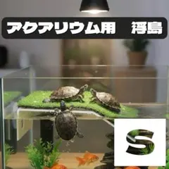 Item thumbnail for item bab56f3f-3663-4a6d-ab95-4494fddc8a72