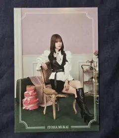 櫻坂46 中期メニュー特典 向井純葉 ポストカード 櫻坂46カフェ