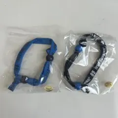 ライオンズ プレイヤーズブレス 2個セット 岸潤一郎