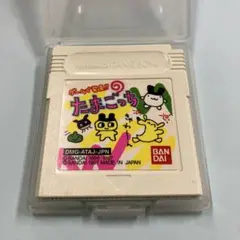 Item thumbnail for item 18db0ca5-1959-4913-878c-66a0f1a4f624