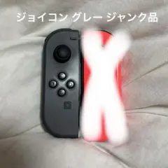 Nintendo Switch ジョイコン グレー
