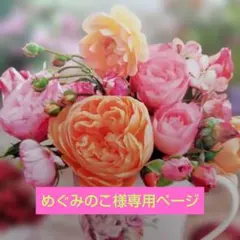 めぐみのこ様専用ページ