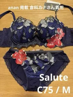 サルート　90グループ　ブラ・ショーツ サルート 90グループ 90g ブラジャー G80 ショーツ LL salute レディース