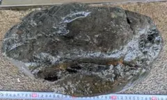 八海山 水無渓谷 八海石(29kg) - メルカリ