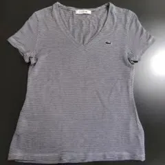 LACOSTE 半袖カットソー ボーダー Vネック 34