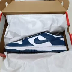 NIKE DUNK LOW RETRO　バレリアンブルーのサムネイル