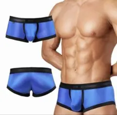 GX3　SHINE PLUS ボクサー　Lサイズ　ブルー