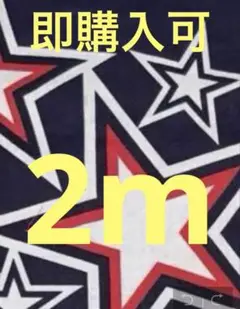 大相撲 はぎれ 2m 反物 浴衣生地