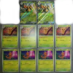 ポケモンカードゲーム　ニンジャスピナー　スピアーex コクーン　ビードル　セット