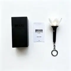 Bigbang ミニペンライト キーホルダー LIGHT キーリング Ver2