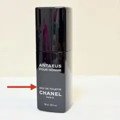 CHANEL シャネル アンテウス オードトワレ　100ml Amazon.co.jp: 【シャネル】アンテウス EDT・SP 100ml (並行輸入品