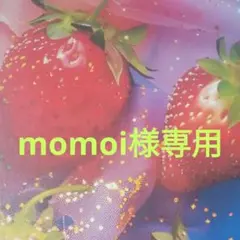 momoi様 リクエスト 2点 まとめ商品