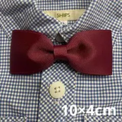 Item thumbnail for item 9d81c4c2-782b-4daf-8a76-d7fa6453764f