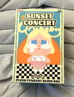 POP MART SUNSET CONCERT cry baby