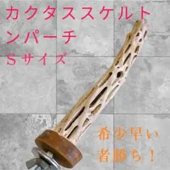 Item thumbnail for item 385db2d8-7b45-4f7a-bff6-24a168f3fdea