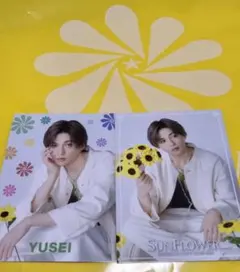 FANTASTICS SUNFLOWER　フォトカード 八木勇征