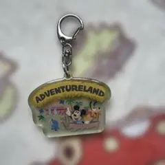 東京ディズニーランド　キーチェーン　アクリルキーホルダー